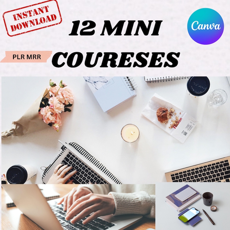 Lot de 12 mini-cours de marketing numérique 101 cours sur les droits de master DPP MRR Digital Business MRR numérique à téléchargement immédiat