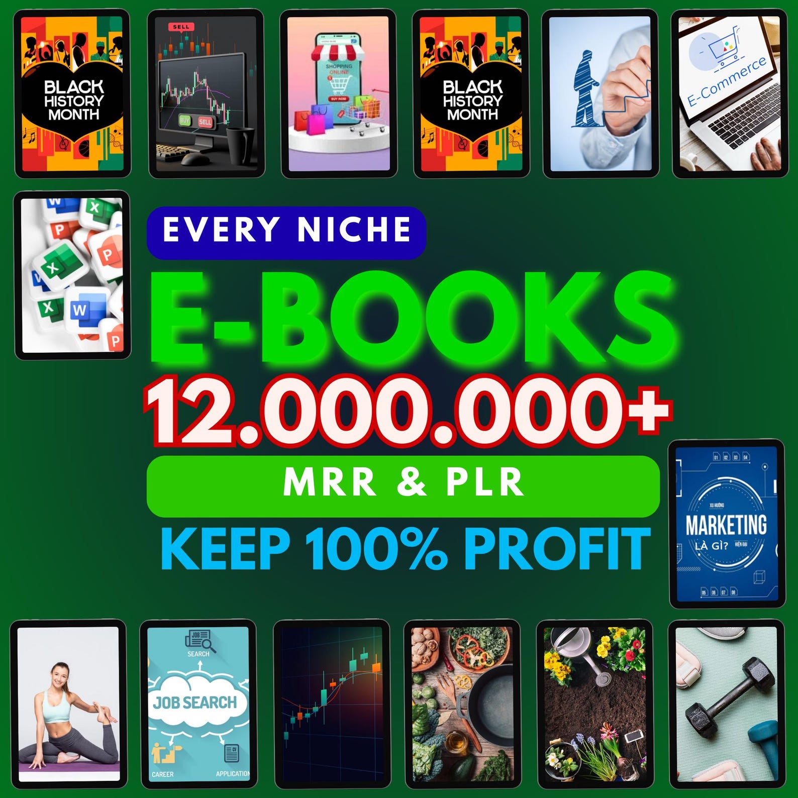 12M+ Mega eBook Bundle – PLR & MRR Resale Rights, Digital Library Pack , digital products , courses