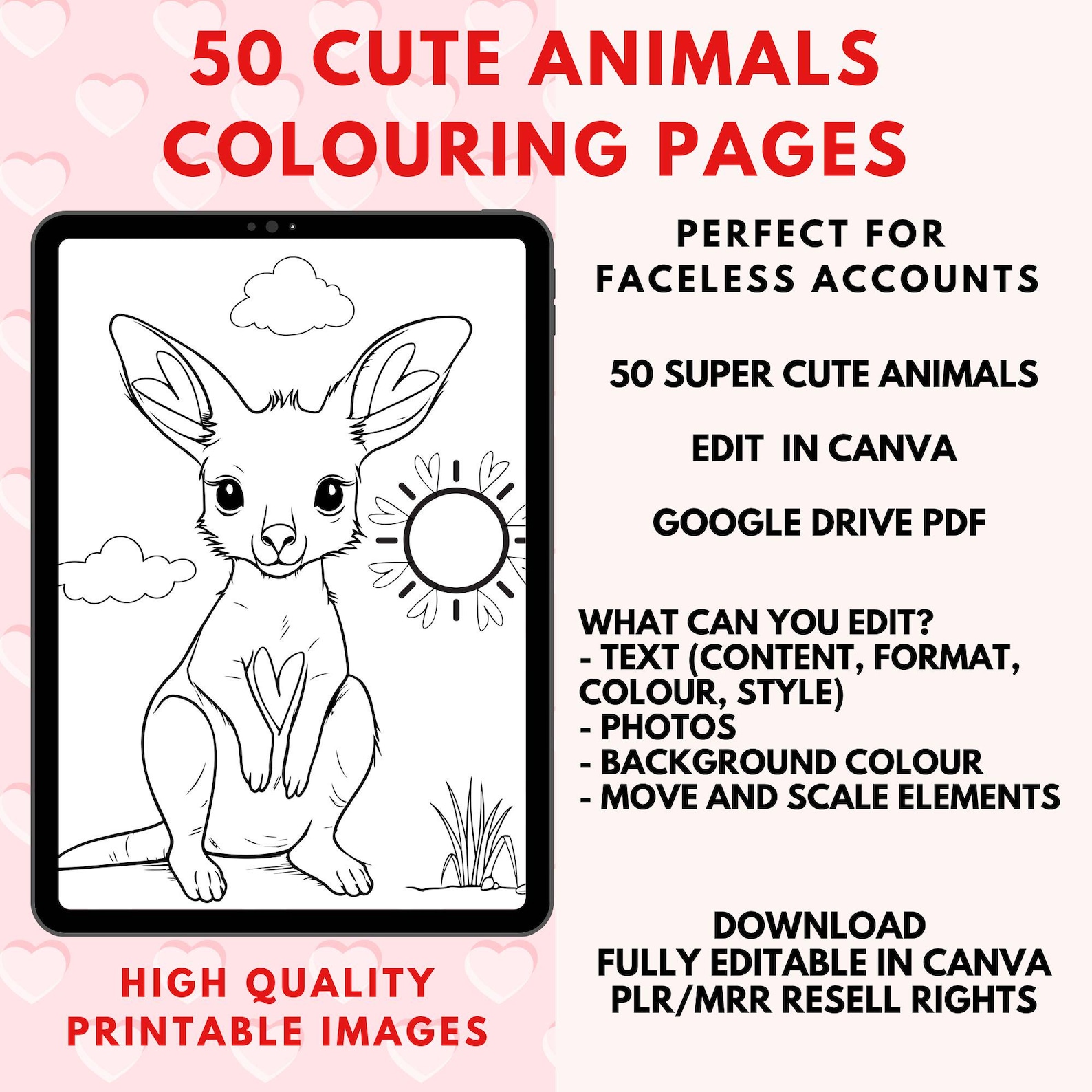 50 Animals Colouring pages, MRR/PLR resell rights, childrens activity Book, Digital Products, printable